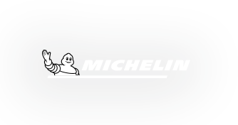 Michelin Winter